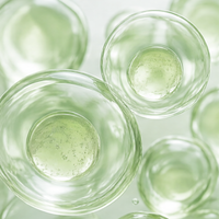 Ceramides